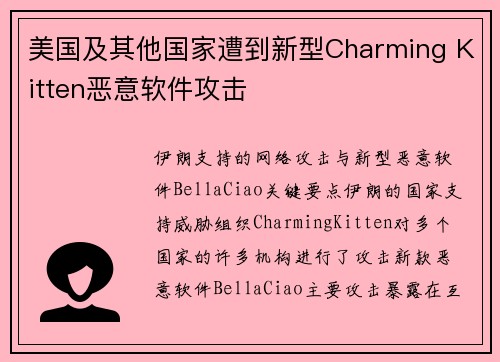 美国及其他国家遭到新型Charming Kitten恶意软件攻击